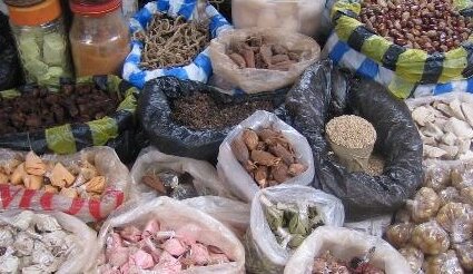 RDC-forêt: Menacés de disparition, Ces fruits, racines, feuilles et noix sauvages, nutritifs et médicinaux ; méritent d’être préserver ?￼